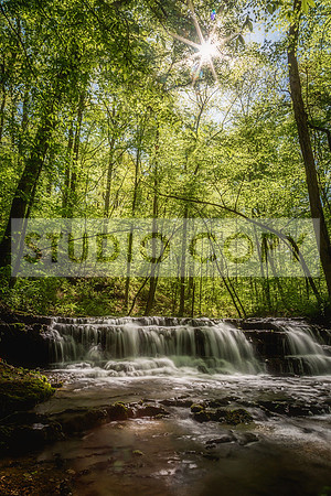 Shoals Creek Preserve