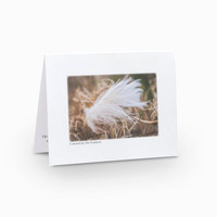Notecard: Covered by His Feathers