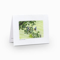 Notecard: Birds of the Air