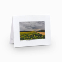 Notecard: The Wilderness will Blossom